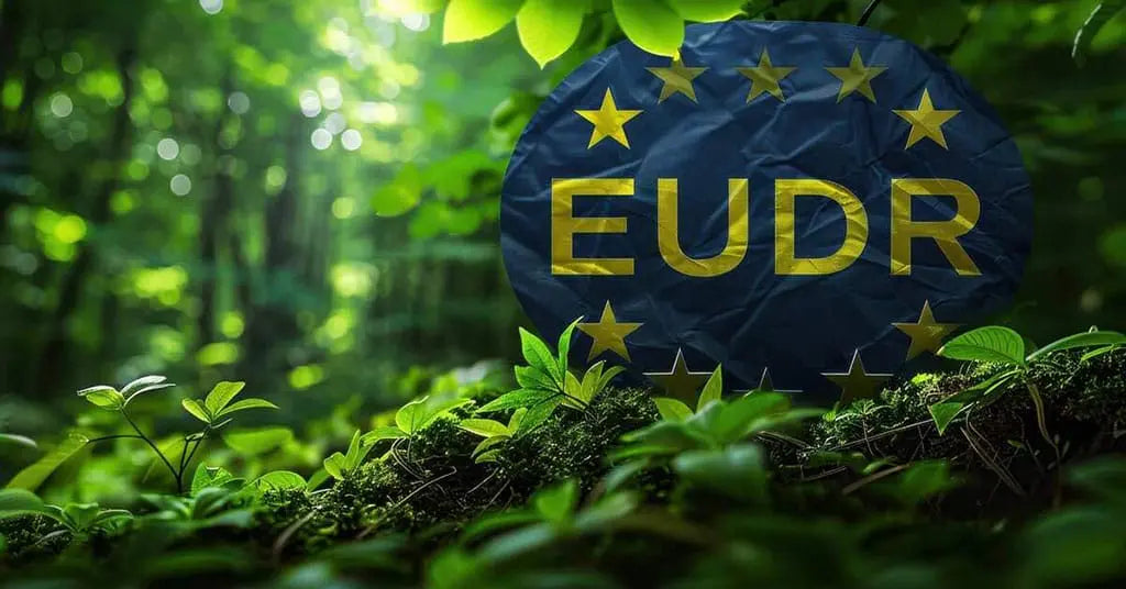 RDUE: Nouveau règlement de l’UE contre la déforestation – Qu’est-ce que cela signifie pour les entreprises?